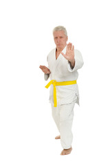 Senior man in karate pose © aletia2011