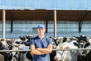 Farmer is working on farm with dairy cows © JENOCHE