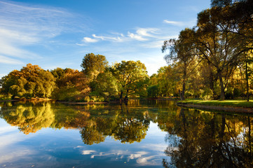 Autumn park