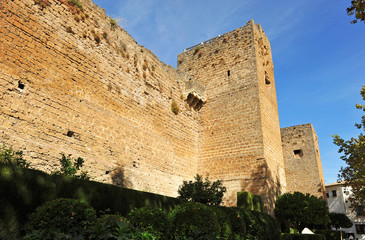 Castle, Priego de Cordoba, Andalusia, Spain