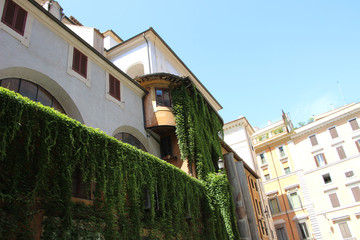 Rome,Italy,Roman yards,old house,summer,columns.