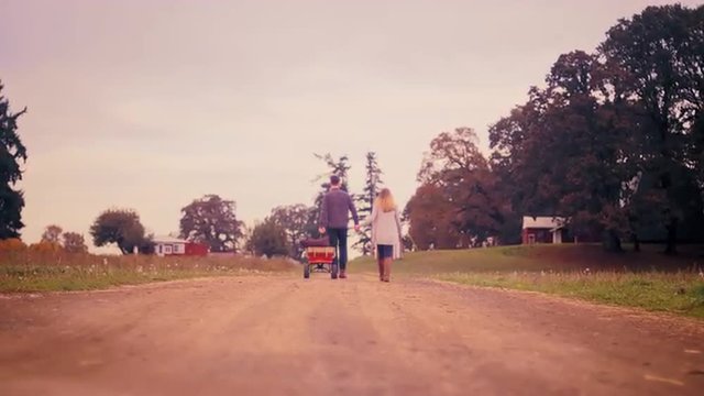 A couple holding hands while pulling a wagon at a pumpkin patch, walking away from the camera