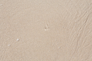 beach texture