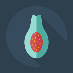 Flat modern design with shadow icons avocado