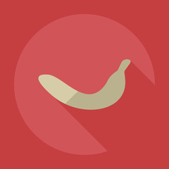 Flat modern design with shadow icons banana