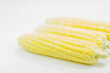 corn isolated on white background