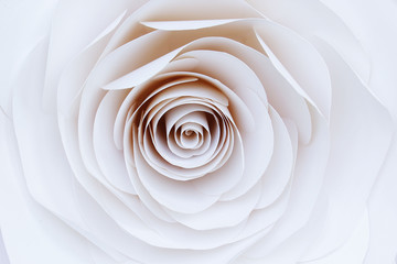 beautiful paper Flower background