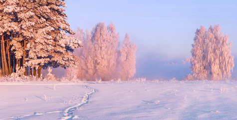 Fairy morning on the snowy valley