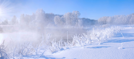 White frozen trees in the winter morning, colorful winter dawn, everything covered by snow and frost