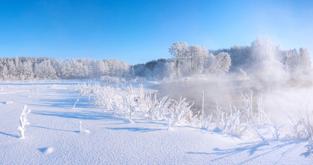 Frosty winter nature
