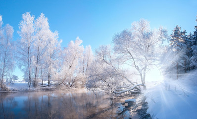  Frosty winter morning