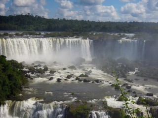Fototapeta premium ブラジル側のイグアスの滝