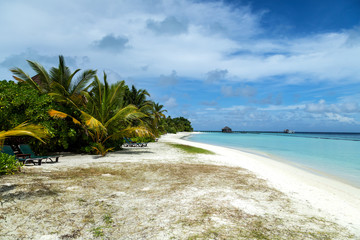 ein wunderschöner Strand auf den Malediven