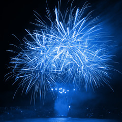 Fireworks in the night sky