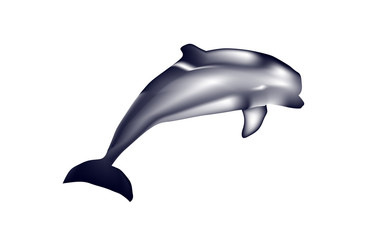 Delfin