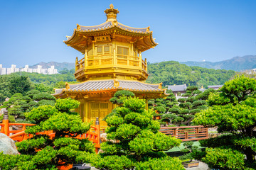 Pavilion of Absolute Perfection Lotus Pond at nan lian garden,Hongkong