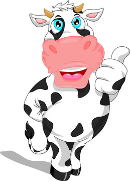cute cow cartoon  thumb up
