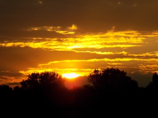 Sunset over forest