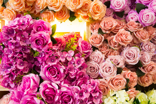  image of beautiful   colorful roses background
