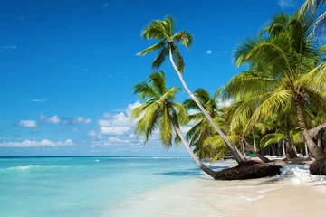 Türaufkleber Tropischer Strand Karibischer Strand auf der Insel Saona, Dominikanische Republik