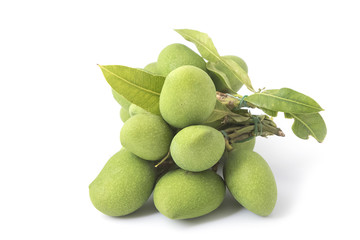 fresh green mango on white background