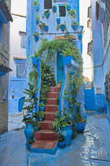 Marokko - Chefchaouen © Thomas Leonhardy