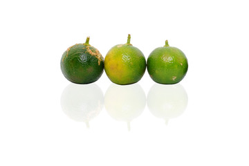Calamondin or calamansi lime on a white background.