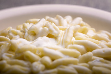 macro pasta gorgonzola and cream in a plate for food background