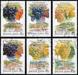 Stamps printed in Hungary show grapes