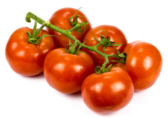   tomatoes isolated on white background