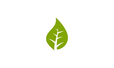  green leaf company logo