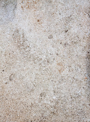 Designed grunge paper texture