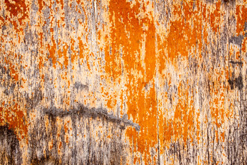 Designed grunge paper texture