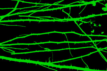bright abstract green lines on the black background 