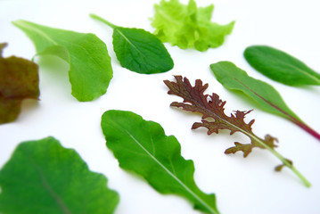 ベビーリーフ　いろいろ