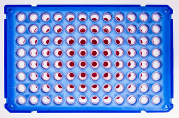 96 well plate for PCR processing, microbiological laboratory