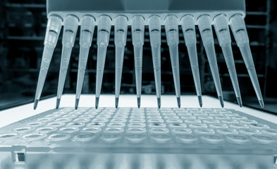 DNA analysis: loading reaction mixture into 96-well plate with m