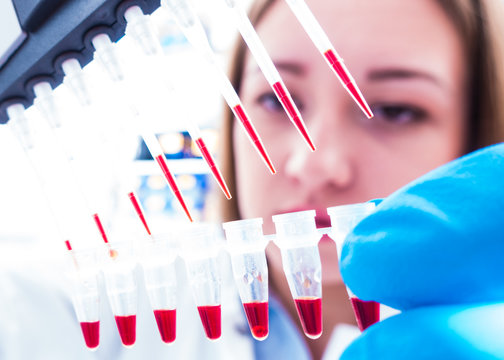 Scientist Woman In Genetic Laboratory