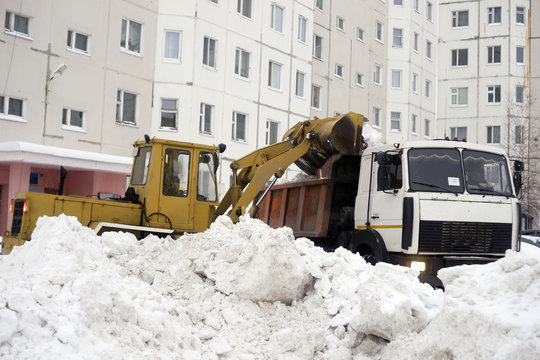 Tractor loads into  car body snow gathered in the yard