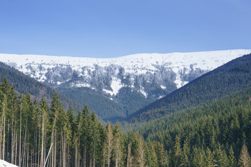 Snowy peak of Carpathian mountains