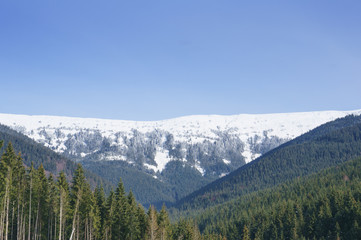 Snowy peak of Carpathian mountains at winter time