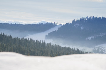 Fototapeta na wymiar Fog over snowy hill and fir trees at winter time