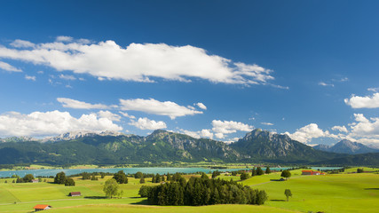 Forggensee mit Alpenpanorama in Bayern im Allgäu