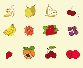 Fruit set sketch