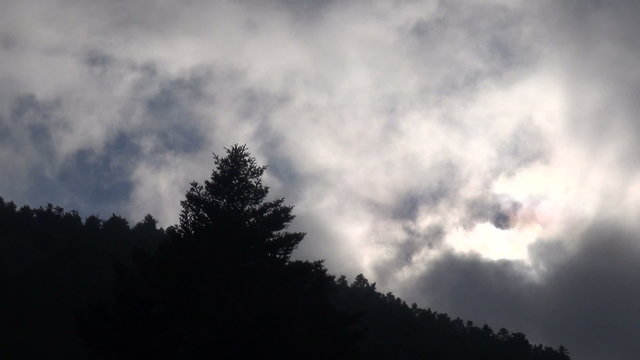 Time lapse video clip of a forest with clouds.
