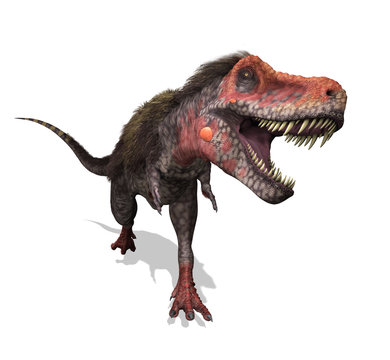 Tarbosaurus Running