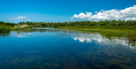 Blue reflecting pond