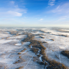 Seismic tracks in winter wooded plain, top view