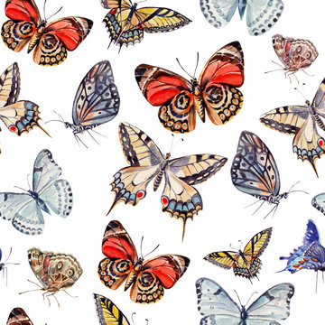 watercolor pattern with beautiful butterflies