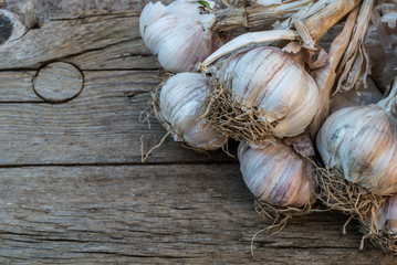 Bunch of garlic